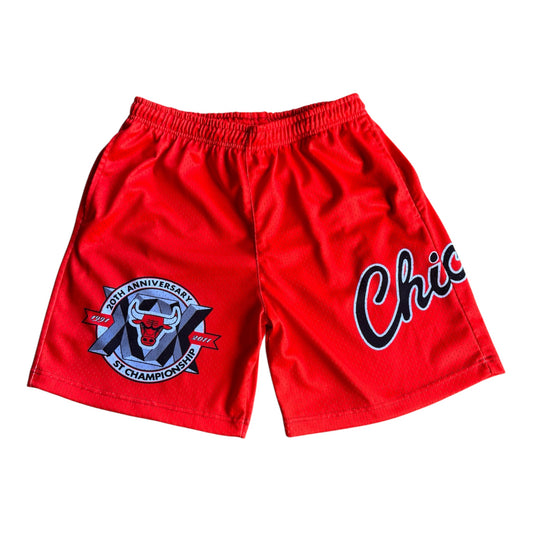 Bulls shorts (Longer)