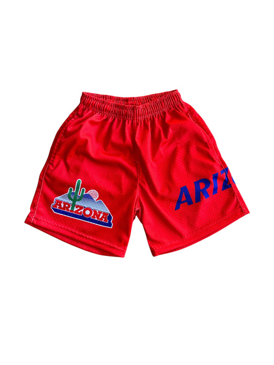 Arizona X Unknwn